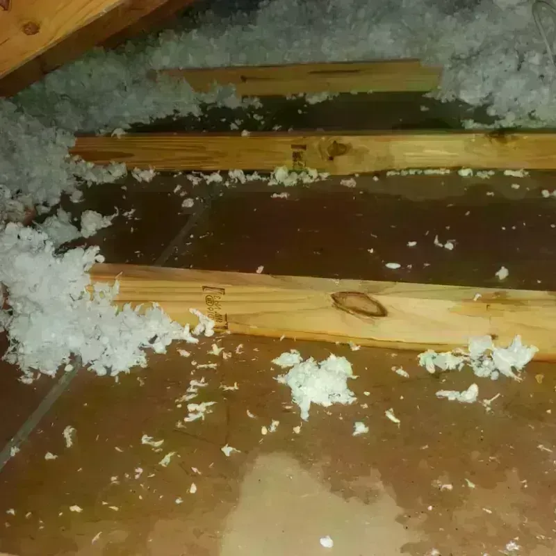 Attic Water Damage in Peabody, KS